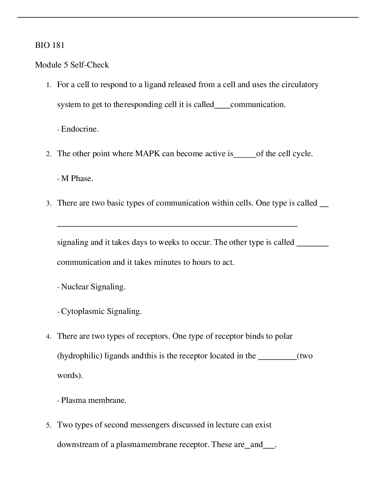 document-preview